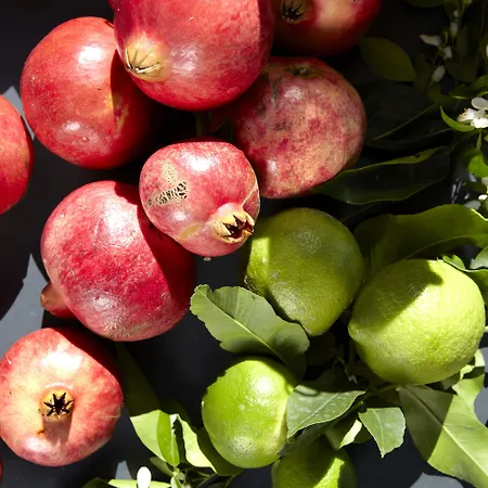 Avra Private Ласси