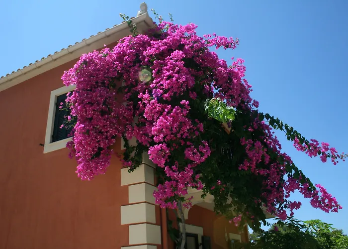 Avra Private * Λάσση